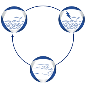 Diagram - svědění kůže