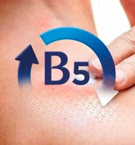 B5 ikona